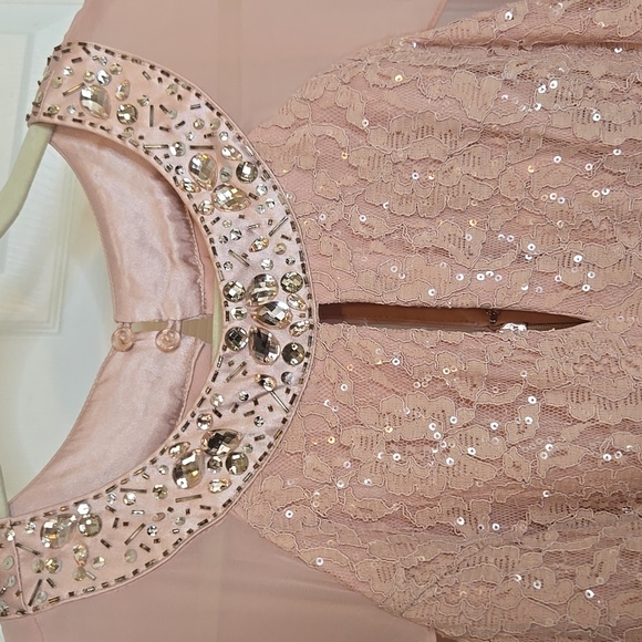 SL Fashions Blush Sequin Lace Gown - Picture 3 of 8